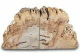 Petrified Wood (Tropical Hardwood) Bookends - Indonesia #266174-2